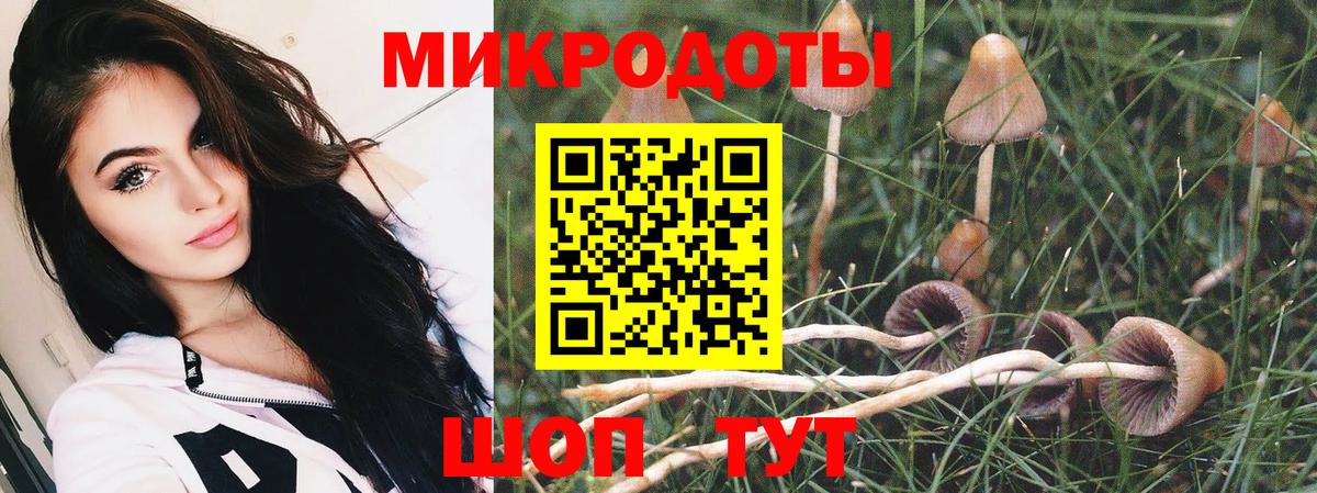 Псилоцибиновые грибы ЛСД  Вход с VPN  Котлас 
