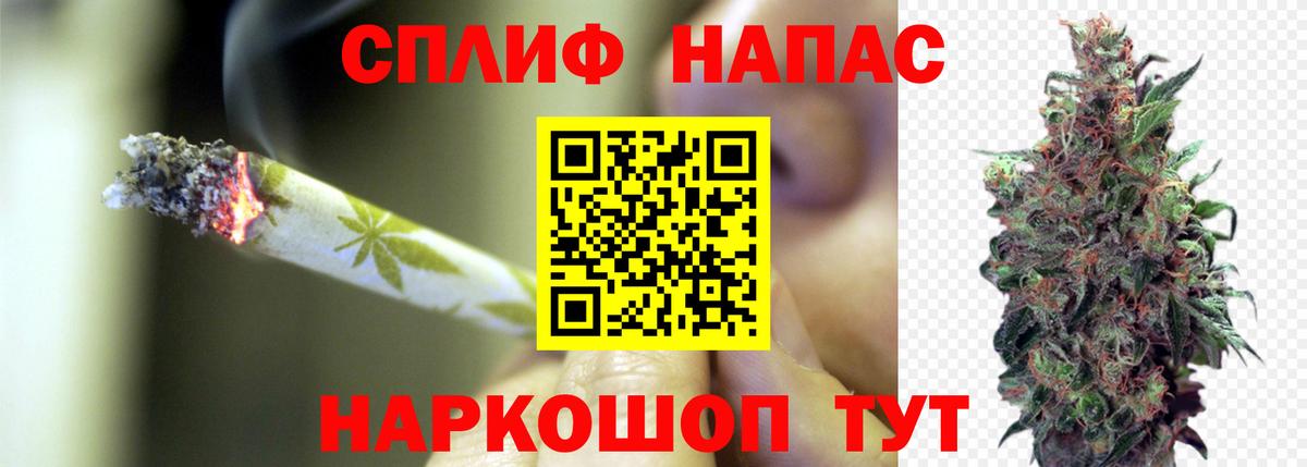 Котлас  Марихуана семена  Вход с VPN  Марихуана ГИДРОПОН  Бошки Шишки Amnesia 